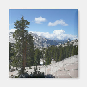 Olmsted Point III. Yosemite-Nationalpark Magnet