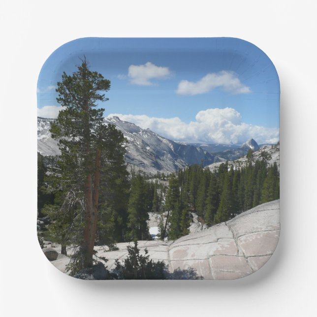 Olmsted Point III. Yosemite-Nationalpark Pappteller (Vorderseite)