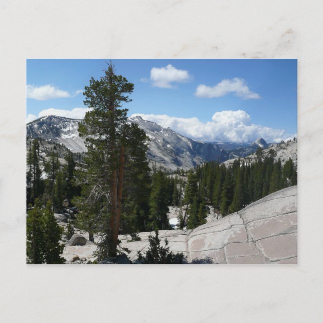 Olmsted Point III. Yosemite-Nationalpark Postkarte (Vorderseite)