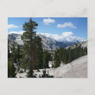 Olmsted Point III. Yosemite-Nationalpark Postkarte