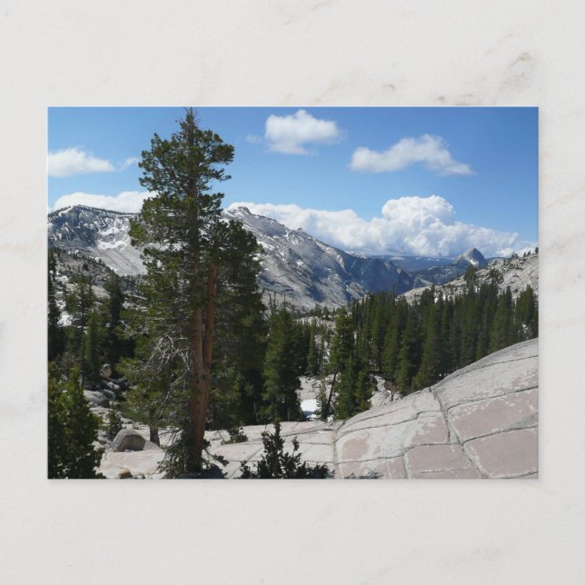 Olmsted Point III. Yosemite-Nationalpark Postkarte (Vorderseite)