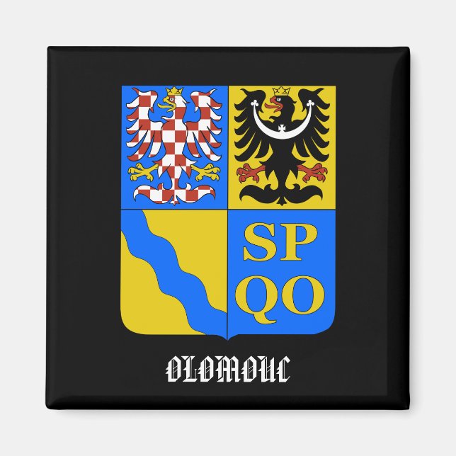 Olomouc Tschechische Republik Kitchen Magnet (Vorne)