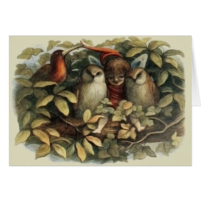 Öls und Elf Fairies - Illustration zur Natur (Vorderseite (Horizontal))