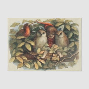 Öls und Elf Fairies - Illustration zur Natur Seidenpapier