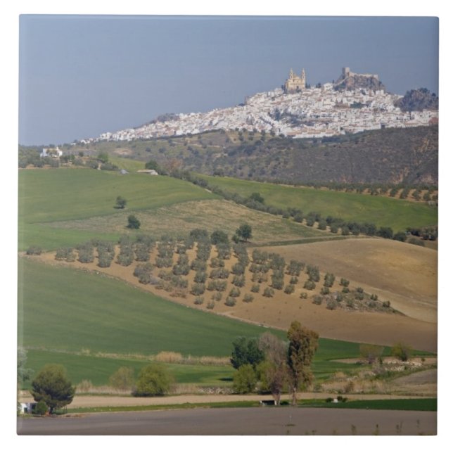 Olvera, Andalusien, Spanien Fliese (Vorderseite)