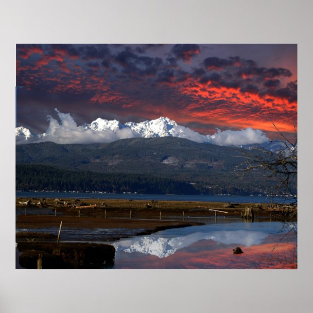 OLYMPIC MTS UND HOOD CANAL POSTER (Vorne)