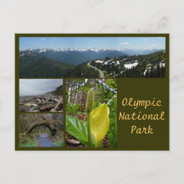 Olympic N.P. (Hurricane Ridge, Kalaloch, Hoh) Postkarte