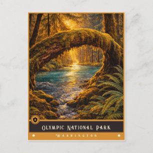 Olympic National Park   Vintage-Postkarte Postkarte