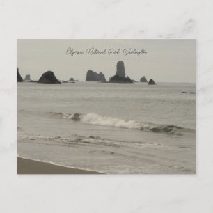Olympic National Park Washington Beach Postcard Postkarte