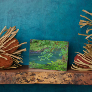 Olympic National Park Washington Staat Fotoplatte