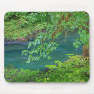 Olympic National Park Washington Staat Mousepad