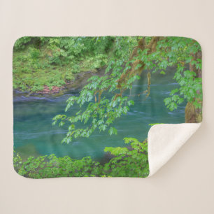 Olympic National Park Washington Staat Sherpadecke