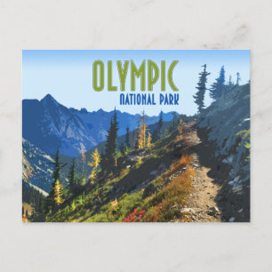 Olympic National Park Washington State Retro Postkarte