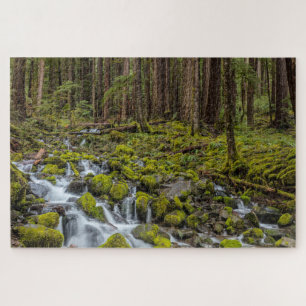 Olympic-Nationalpark, Bundesstaat Washington Puzzle