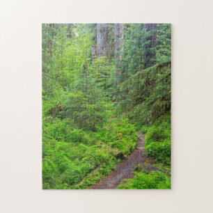 Olympic-Nationalpark, Waldweg Puzzle