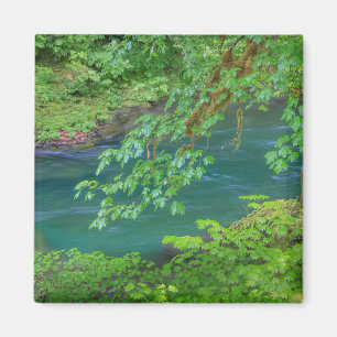 Olympic-Nationalpark Washington State Magnet