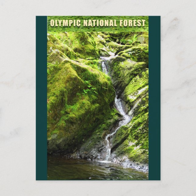OLYMPIC NAT'L FOREST Waterfall Postkarte (Vorderseite)
