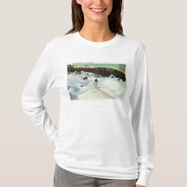Olympische Bobsled-Laufansicht über Mt. Van T-Shirt (Vorderseite)