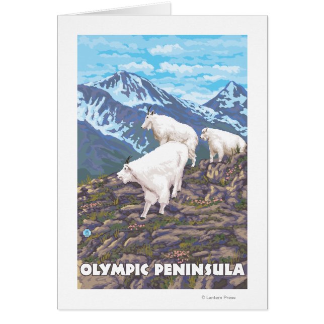 Olympische Halbinsel, WashingtonBergziegen (Vorne)