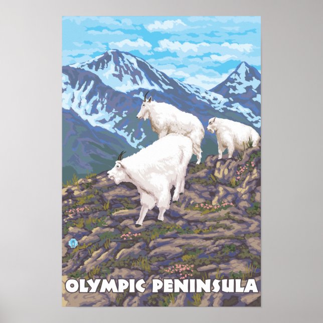 Olympische Halbinsel, WashingtonBergziegen Poster (Vorne)