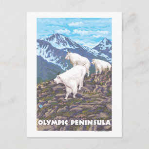 Olympische Halbinsel, WashingtonBergziegen Postkarte