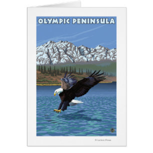 Olympische Halbinsel, WashingtonFischereiadler