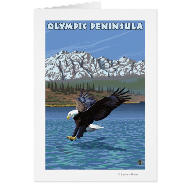Olympische Halbinsel, WashingtonFischereiadler (Vorne)