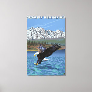 Olympische Halbinsel, WashingtonFishing Eagle Leinwanddruck