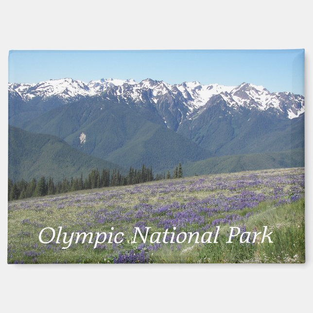 Olympischer Nationalpark Berge und Wiesen Magnet (Vorderseite)