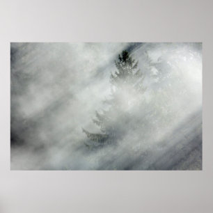 Olympischer Nationalpark   Hoh River Valley Poster