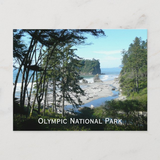 Olympischer Nationalpark Postkarte (Vorderseite)