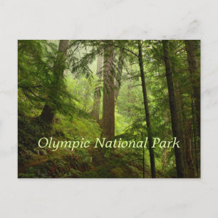 Olympischer Nationalpark Rainforest Postkarte