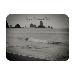 Olympischer Nationalpark Seascape Foto Magn Magnet