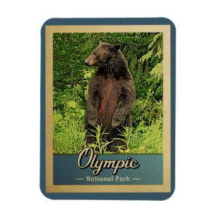 Olympischer Nationalpark Vintager Bär Magnet