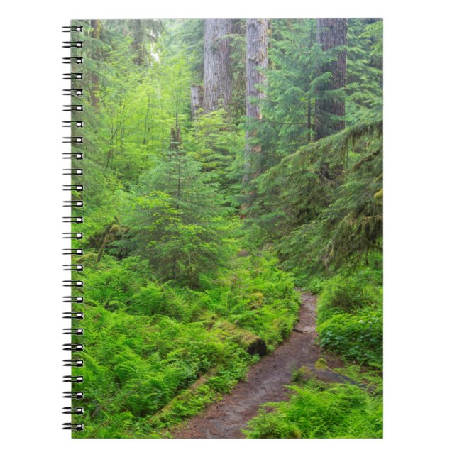 Olympischer Nationalpark, Waldweg Notizblock (Vorderseite)