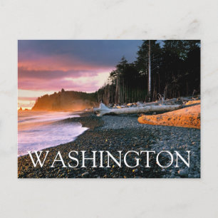 Olympischer Nationalpark Washington Staat Birthd Postkarte