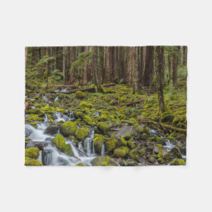 Olympischer Nationalpark, Washingtoner Staat Fleecedecke