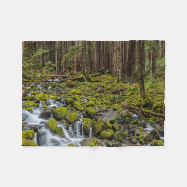 Olympischer Nationalpark, Washingtoner Staat Fleecedecke (Vorderseite (Horizontal))