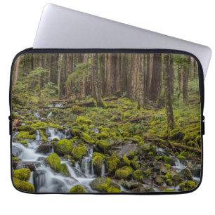 Olympischer Nationalpark, Washingtoner Staat Laptopschutzhülle