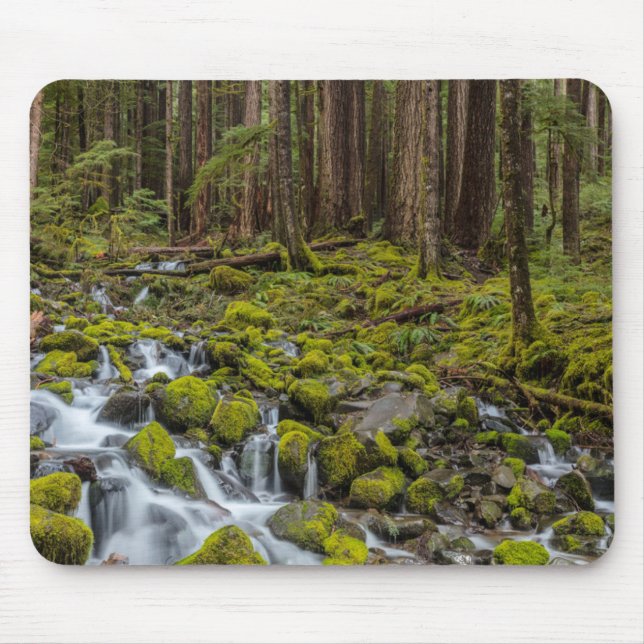 Olympischer Nationalpark, Washingtoner Staat Mousepad (Vorne)