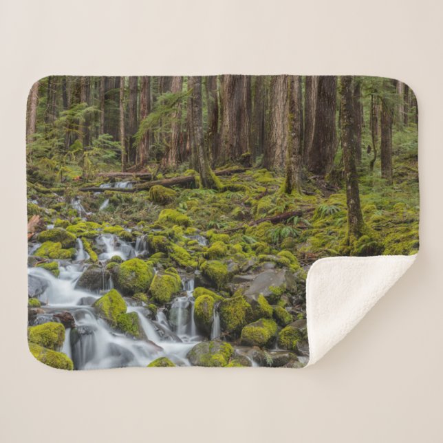 Olympischer Nationalpark, Washingtoner Staat Sherpadecke (Vorderseite (Horizontal))