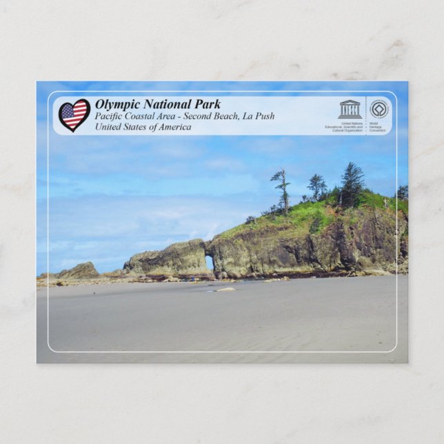 Olympischer Nationalpark - zweiter Strand, La Push Postkarte (Vorderseite)