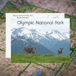 Olympisches Foto Nationalpark Wildlife Postkarte