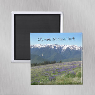 olympisches Nationalpark-Foto Magnet