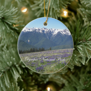 Olympisches Nationalpark Landschaftliches Foto Keramikornament