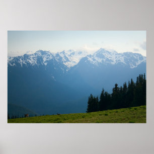 Olympus-Gipfel am Hurricane Ridge Print Poster