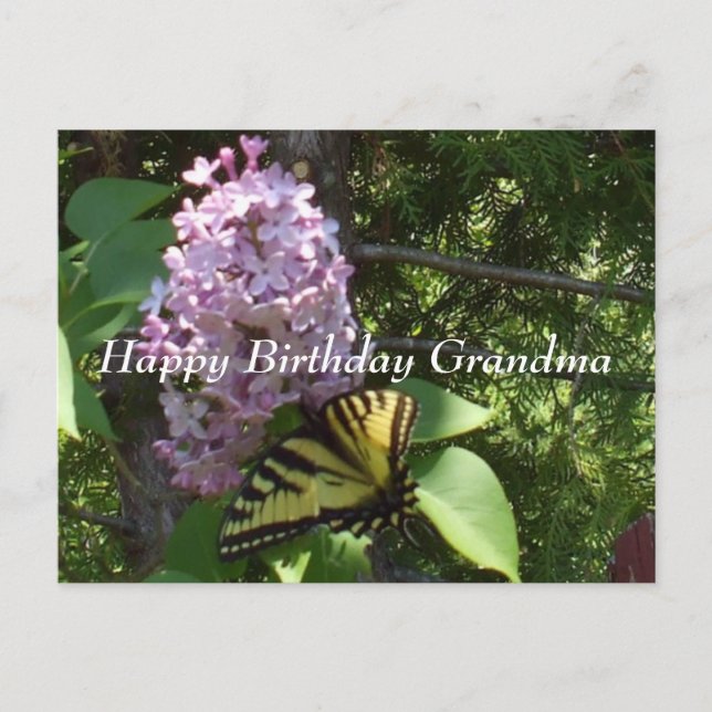 Oma Birthday Postcard Postkarte (Vorderseite)
