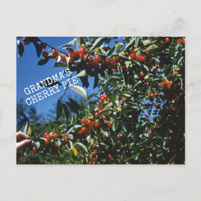 Oma-Cherry-Pie-Rezept Postkarte (Vorderseite)