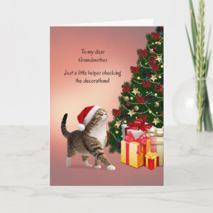 Oma mit Katze in einem Weihnachtsmannhut Feiertagskarte