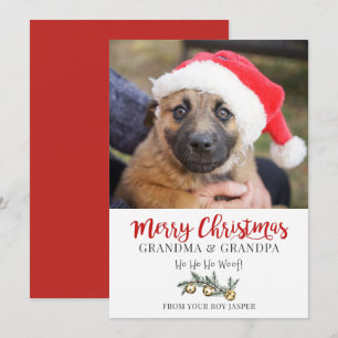 Oma Opa Weihnachten vom Hund
